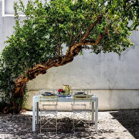 Secret Garden In Alfama Lizbona