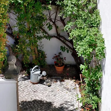 Secret Garden In Alfama